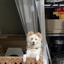 아성세차장 이미지