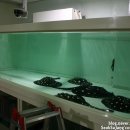 이상열농장 이미지