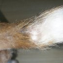 금비동물병원 이미지