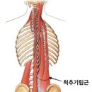 바디케어체형관리 이미지