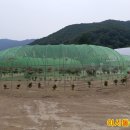 단국대학교 경영대학원 이미지