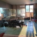 미룡복싱체육관 이미지