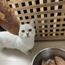 구월농장 이미지