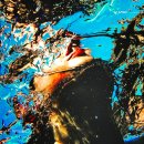 조나단모텔 | 요시고 사진전 2 비추천 이유 굿즈 그라운드시소 센트럴