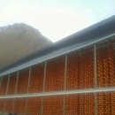 천등농장 이미지