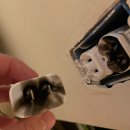 주식회사 백프로 | 싱가포르 여행 준비물로 멀티 어댑터, 샤워기 필터 제대로 고르는 팁!