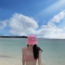 마켓플레인