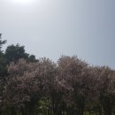 사) 한국장애인고용안정협회 이미지