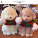 꼬순멍 이미지
