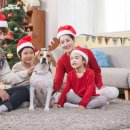 구리동물보호센터 이미지