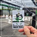 헐크워시 파주점 | "경기 파주시" 파주 세차장 추천, 헐크워시에서 셀프세차하고 온 날
