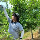 광시면행정복지센터 이미지