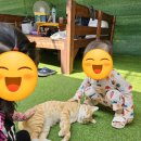 김해농장 | 휴가기간에 두 번 다녀온 김해하늘농장 후기 | (미취학) 아이 물놀이 최강