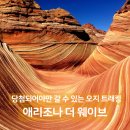 (주)지오미디어 | 애리조나 더 웨이브, 당첨되어야 들어갈 수 있는 미국의 특별한 명소 (미국 오지 트래킹)