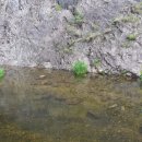 대금환경개발 이미지