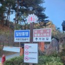 혜성행정사무소 이미지