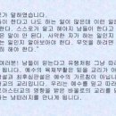 아나스타시스 이미지