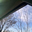 남원골명품추어탕 이미지