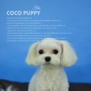 아띠퍼피 이미지