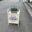 네일오숑 이미지