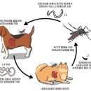 브리즈 동물병원 이미지