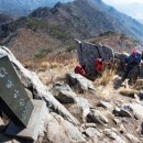 덕고개로 이미지