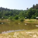 전곡항 공원 이미지