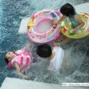 파라다이스스파도고 이미지