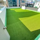 하이댕스 이미지