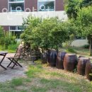 진인노인요양원 이미지