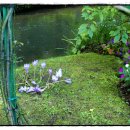 모네정원 이미지