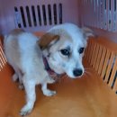 서두물로31번길 이미지