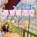 대구오토정비 | 대구 근교 벚꽃 캠핑장 실시간 | 영천 휘명빌리지 명당자리 아이랑 캠핑 후기