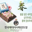 석사 블랙벨트 태권도장 이미지