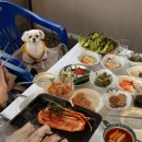 강청수변길 이미지