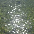 바람의 정원 이미지