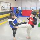 봄날태권도 이미지