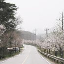 종합운동장 북문 앞 이미지