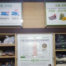 크린토피아연희