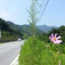 강변카 이미지