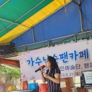 행운동-23 Daum카페