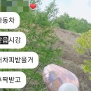 요빙빙 이미지