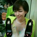 옐로우레이디버드 이미지
