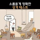 현재 소름돋는다는 의자 심리테스트 이미지