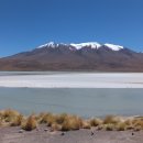 Laguna Hedionda: Bolivia's "Stinking Lake" 이미지