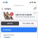 다미일식
