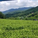 이레농장2 이미지