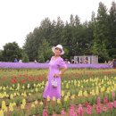 현주팜 Daum카페