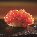 스시어가 이미지