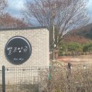 가평 벨르앙쥬 애견펜션 리얼 후기